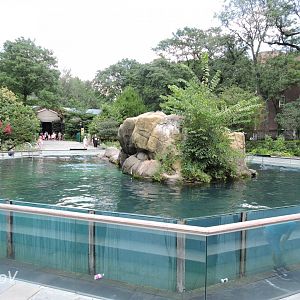 California sea lion exhibit [2015]