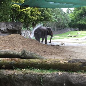 Keeper Washing Burma