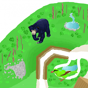 Chester Zoo Map - Sun Bear and Javan Green Magpie detail