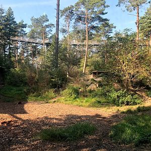 Wildpark Lüneburger Heide- wolf enclosure with canopy pathway- 2020