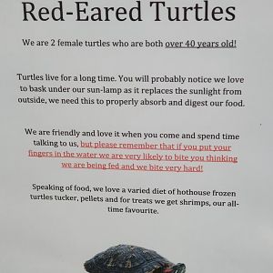 Red-eared Slider signage, Masterton Pet Shop