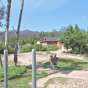 Asian elephant exhibit [2015]