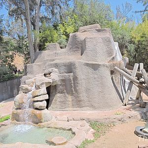 American black bear exhibit [2015]