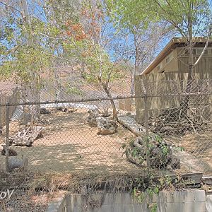 Calamian deer exhibit [2015]