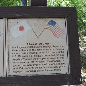 The story behind Los Angeles' Japanese serows [2015]