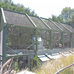 Chimpanzee exhibit [2015]