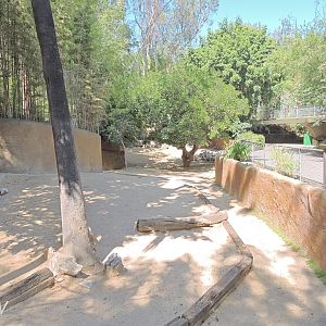 Mountain bongo exhibit [2015]