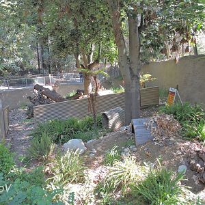 Tasmanian devil exhibit (then uninhabited) [2015]