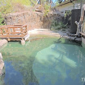 False gharial exhibit - The L.A.I.R. [2015]