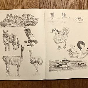 Torres del Paine - first two pages