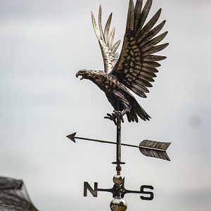 Weathervane : Cotswold Falconry Centre : 04 Sep 2020