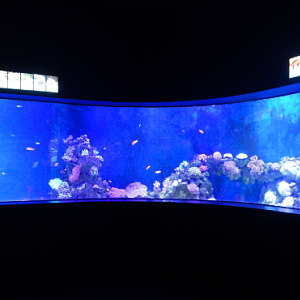 Reef Tank