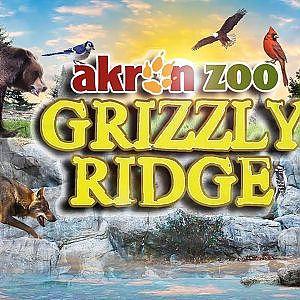 Grizzly Ridge | Zoo Tours