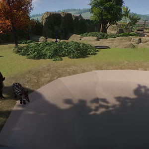 Baird's Tapir/Giant Anteater Habitat