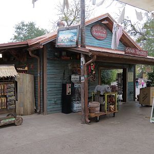 African Savanna - Safari Traders