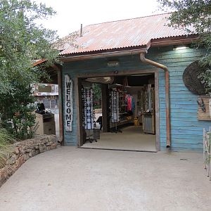 African Savanna - Safari Traders