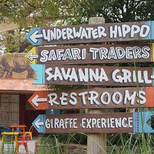 African Savanna - Directional Signs