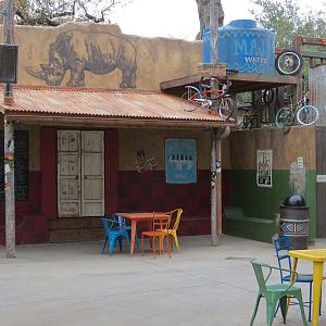 African Savanna - Savanna Grill