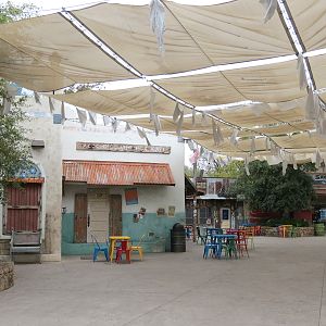 African Savanna - Savanna Grill