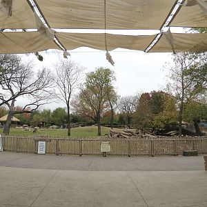 African Savanna - Main Exhibit