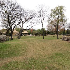 African Savanna - Main Exhibit
