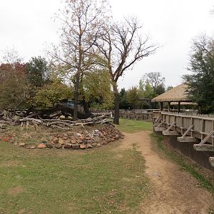African Savanna - Main Exhibit - Extensive Giraffe Feeding Area