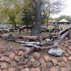African Savanna - Main Exhibit
