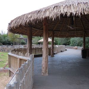 African Savanna - Main Exhibit