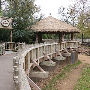 African Savanna - Main Exhibit - Extensive Giraffe Feeding Area