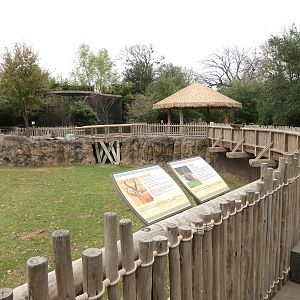 African Savanna - Main Exhibit - Extensive Giraffe Feeding Area