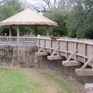 African Savanna - Main Exhibit
