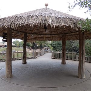 African Savanna - Main Exhibit
