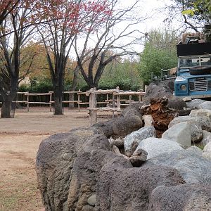 African Savanna - Main Exhibit