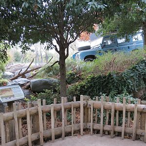 African Savanna - Main Exhibit - Truck Feature