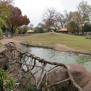 African Savanna - Main Exhibit - Waterhole Area