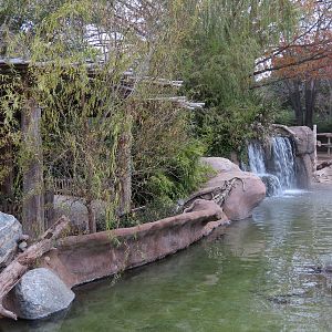 African Savanna - Main Exhibit - Waterhole Area