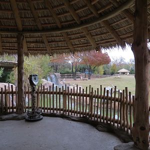 African Savanna - Main Exhibit - Waterhole Area