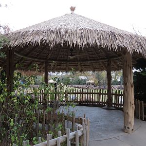 African Savanna - Main Exhibit - Waterhole Area