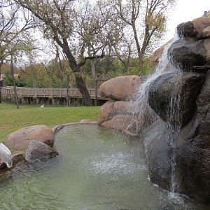 African Savanna - Main Exhibit - Waterhole Area