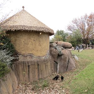 African Savanna - Main Exhibit