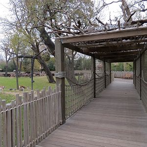 African Savanna - Main Exhibit - Maswa Bridge