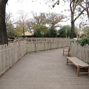 African Savanna - Main Exhibit - Walkway