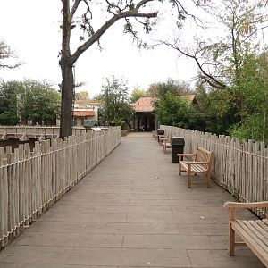 African Savanna - Main Exhibit - Walkway