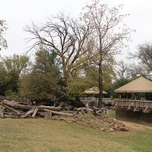 African Savanna - Main Exhibit