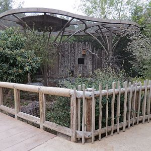 African Savanna - Aviary