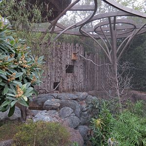 African Savanna - Aviary