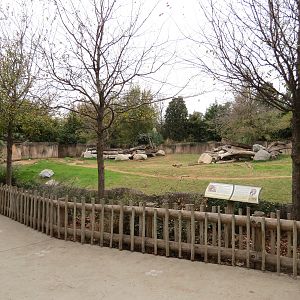 African Savanna - Black Rhinoceros Exhibit 1