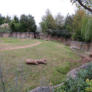 African Savanna - Black Rhinoceros Exhibit 1