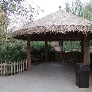 African Savanna - Hippopotamus Exhibit