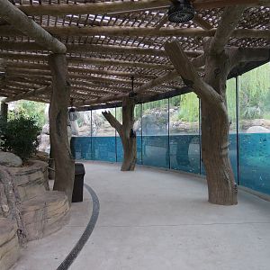 African Savanna - Hippopotamus Exhibit